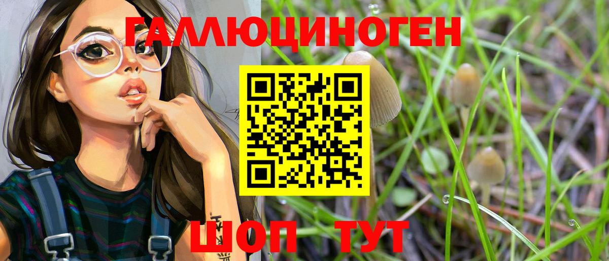 Черногорск  Галлюциногенные грибы Cubensis  цена наркотик  Вход с VPN  Галлюциногенные грибы Psilocybine cubensis 